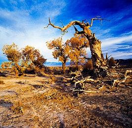 《仙剑奇侠传7》获金陀螺奖“年度人气IP类游戏奖”