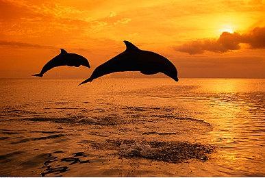 虚幻5.1获得新PSO预处理机制 减少着色器编译卡顿